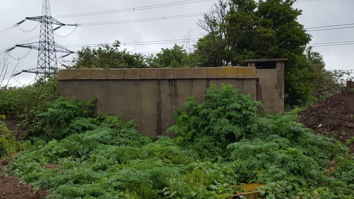 Gun Site